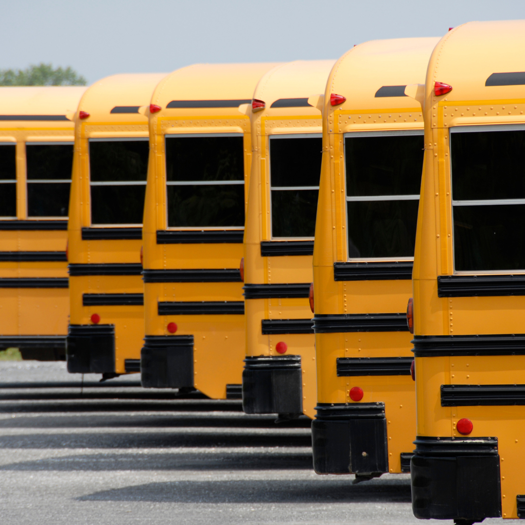 Transport scolaire : prévoir un « plan B » pour la rentrée
