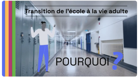 Transition TEVE.png