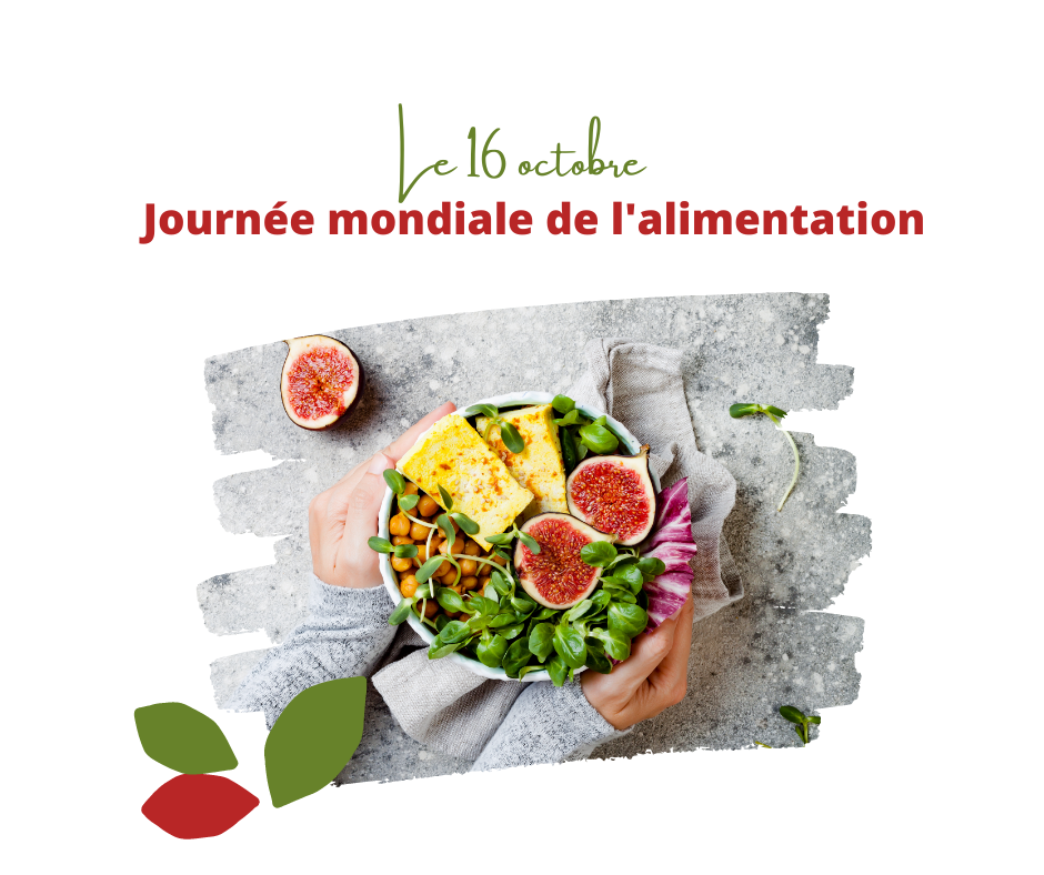 Le 16 octobre 2022 est la Journée mondiale de l’alimentation