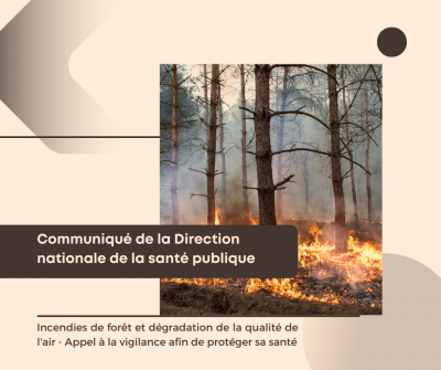 Incendies de forêt et dégradation de la qualité de l'air - Appel à la vigilance afin de protéger sa santé